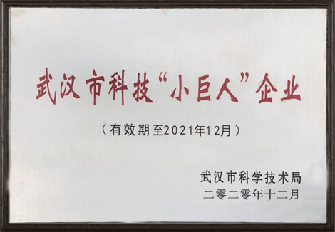 热烈祝贺武汉K8凯发荣获2020年东西湖区科技“小巨人”企业称号