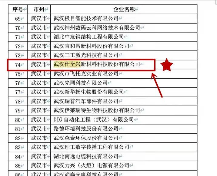 武汉K8凯发入选湖北省专精特新小巨人企业