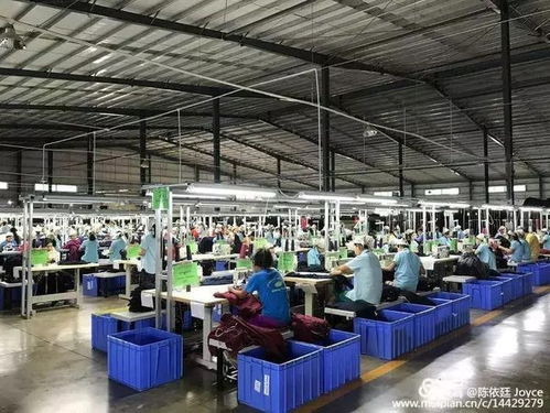 震撼,东南亚 万人工厂 惊艳世界,中国制造面临巨大挑战